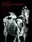 AN ATLAS OF ANIMAL ANATOMY FOR ARTISTS | 9780486200828 | VV.AA. | Llibreria Drac - Librería de Olot | Comprar libros en catalán y castellano online