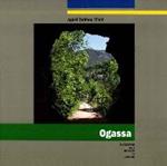 OGASSA | 9788496747791 | DALMAU, AGUSTÍ | Llibreria Drac - Llibreria d'Olot | Comprar llibres en català i castellà online