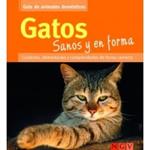 GATOS SANOS Y EN FORMA | 9783625000877 | VV.AA. | Llibreria Drac - Librería de Olot | Comprar libros en catalán y castellano online