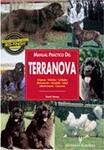 MANUAL PRACTICO DEL TERRANOVA | 9788425512414 | Llibreria Drac - Llibreria d'Olot | Comprar llibres en català i castellà online