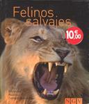 FELINOS SALVAJES | 9783625120926 | Llibreria Drac - Llibreria d'Olot | Comprar llibres en català i castellà online