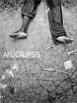 APOCALIPSIS | 9788475068954 | YBARRA, ALVARO | Llibreria Drac - Llibreria d'Olot | Comprar llibres en català i castellà online