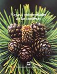 PLAGAS Y ENFERMEDADES DE LAS CONIFERAS | 9788484760672 | AMERICAN PHYTOPATHOLOGICAL | Llibreria Drac - Llibreria d'Olot | Comprar llibres en català i castellà online