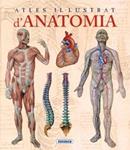 ATLES IL·LUSTRAT D'ANATOMIA | 9788467702101 | RIGUTTI, ADRIANA | Llibreria Drac - Librería de Olot | Comprar libros en catalán y castellano online