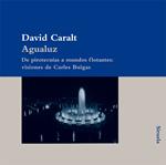 AGUALUZ | 9788498413922 | CARALT, DAVID | Llibreria Drac - Librería de Olot | Comprar libros en catalán y castellano online