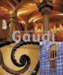 ENCICLOPEDIA ILUSTRADA DE GAUDI | 9788467711370 | SUSAETA, EQUIPO | Llibreria Drac - Llibreria d'Olot | Comprar llibres en català i castellà online