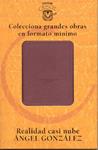 REALIDAD CASI NUBE | 9788403096363 | GONZALEZ, ANGEL | Llibreria Drac - Librería de Olot | Comprar libros en catalán y castellano online