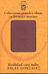 REALIDAD CASI NUBE | 9788403096363 | GONZALEZ, ANGEL | Llibreria Drac - Librería de Olot | Comprar libros en catalán y castellano online