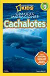 CACHALOTES GRANDES MIGRACIONES ( NIVEL 3) | 9788482985633 | MARSH , LAURA | Llibreria Drac - Llibreria d'Olot | Comprar llibres en català i castellà online