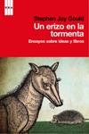 ERIZO EN LA TORMENTA, UN | 9788490061657 | JAY, STEPHEN | Llibreria Drac - Llibreria d'Olot | Comprar llibres en català i castellà online