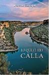 LO QUE EL RÍO CALLA | 9788494016073 | CARVAJAL, DOREEN | Llibreria Drac - Llibreria d'Olot | Comprar llibres en català i castellà online