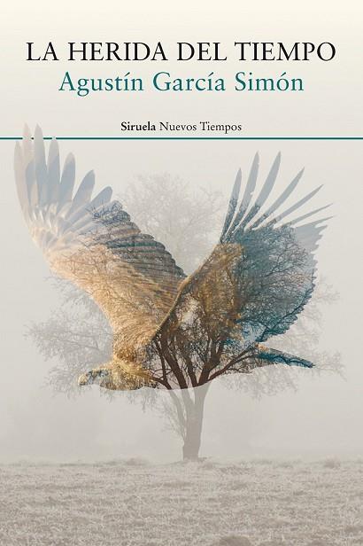 HERIDA DEL TIEMPO, LA | 9788417308063 | GARCÍA, AGUSTÍN | Llibreria Drac - Librería de Olot | Comprar libros en catalán y castellano online