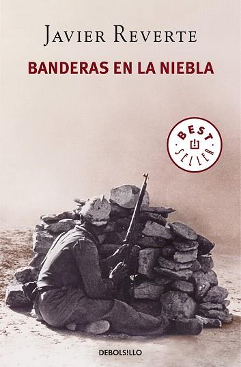 BANDERAS EN LA NIEBLA | 9788466343848 | REVERTE, JAVIER | Llibreria Drac - Librería de Olot | Comprar libros en catalán y castellano online