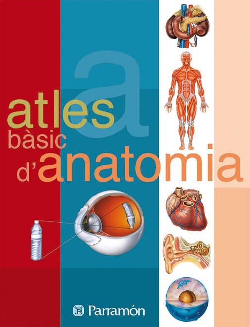 ATLES BASIC D'ANATOMIA | 9788434223134 | PARRAMON | Llibreria Drac - Llibreria d'Olot | Comprar llibres en català i castellà online