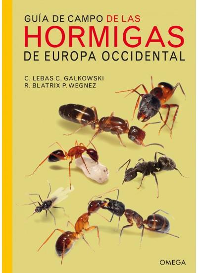 GUÍA DE CAMPO DE LAS HORMIGAS DE EUROPA OCCIDENTAL | 9788428216630 | LEBAS, CLAUDE; GALKOWSKI, CHRISTOPHE | Llibreria Drac - Librería de Olot | Comprar libros en catalán y castellano online