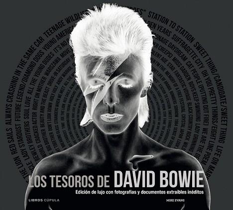 TESOROS DE DAVID BOWIE, LOS | 9788448008918 | EVANS, MIKE | Llibreria Drac - Librería de Olot | Comprar libros en catalán y castellano online