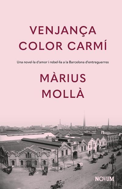 VENJANÇA COLOR CARMÍ | 9788419311771 | MOLLÀ, MÀRIUS | Llibreria Drac - Llibreria d'Olot | Comprar llibres en català i castellà online