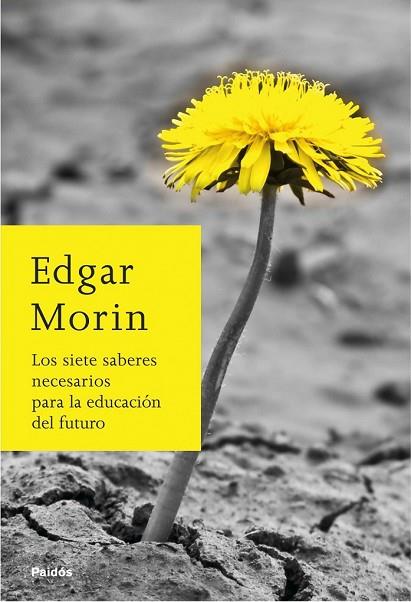 SIETE SABERES NECESARIOS PARA LA EDUCACIÓN DEL FUTURO, LOS | 9788449324901 | MORIN, EDGAR | Llibreria Drac - Librería de Olot | Comprar libros en catalán y castellano online