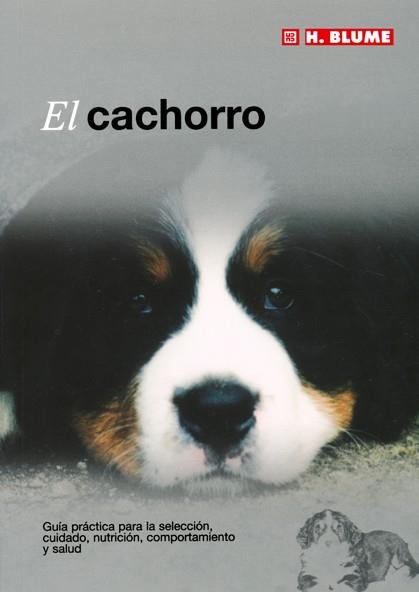 CACHORRO, EL | 9788489840898 | AA.VV. | Llibreria Drac - Librería de Olot | Comprar libros en catalán y castellano online