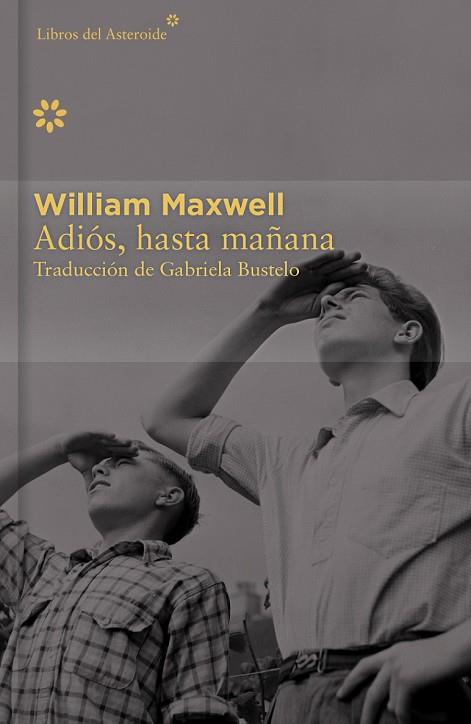 ADIOS HASTA MAÑANA | 9788416213405 | MAXWELL, WILLIAM | Llibreria Drac - Librería de Olot | Comprar libros en catalán y castellano online