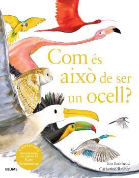 COM ÉS AIXÒ DE SER UN OCELL? | 9788410048102 | BIRKHEAD, TIM;RAYNER, CATHERINE | Llibreria Drac - Llibreria d'Olot | Comprar llibres en català i castellà online