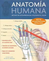 ANATOMIA HUMANA. MÉTODO DE AUTOAPRENDIZAJE USANDO EL COLOR | 9789089986580 | AA.VV | Llibreria Drac - Librería de Olot | Comprar libros en catalán y castellano online