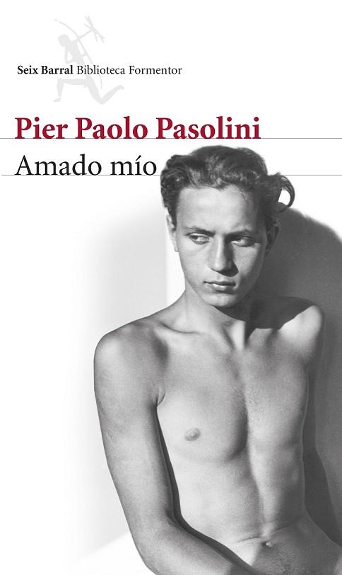 AMADO MÍO | 9788432222870 | PASOLINI, PIER PAOLO | Llibreria Drac - Llibreria d'Olot | Comprar llibres en català i castellà online