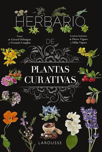 HERBARIO DE PLANTAS CURATIVAS | 9788410124110 | VIGNES, PIERRE; VIGNES, DÉLIA | Llibreria Drac - Llibreria d'Olot | Comprar llibres en català i castellà online