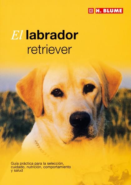 LABRADOR RETRIEVER, EL | 9788489840850 | AA.VV. | Llibreria Drac - Librería de Olot | Comprar libros en catalán y castellano online