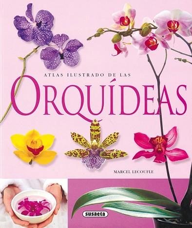 ATLAS ILUSTRADO DE LAS ORQUIDEAS | 9788430563715 | AA.VV. | Llibreria Drac - Librería de Olot | Comprar libros en catalán y castellano online