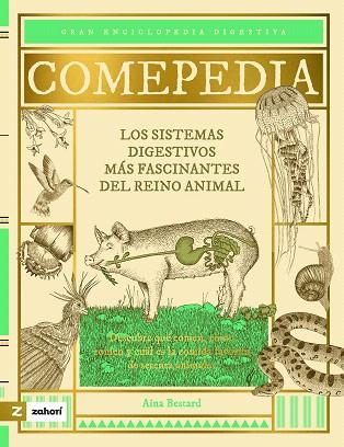 COMEPEDIA | 9788419889416 | BESTARD, AINA | Llibreria Drac - Llibreria d'Olot | Comprar llibres en català i castellà online