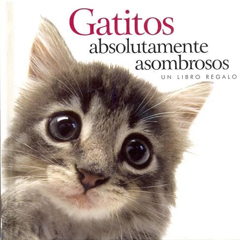 GATITOS ABSOLUTAMENTE ASOMBROSOS | 9781846341908 | Llibreria Drac - Llibreria d'Olot | Comprar llibres en català i castellà online