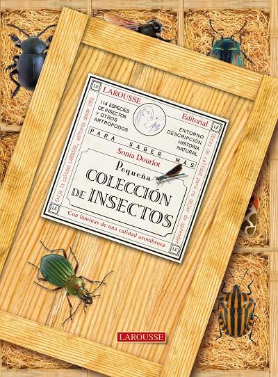 PEQUEÑA COLECCION DE INSECTOS | 9788480169158 | DOURLOT, SONIA | Llibreria Drac - Llibreria d'Olot | Comprar llibres en català i castellà online