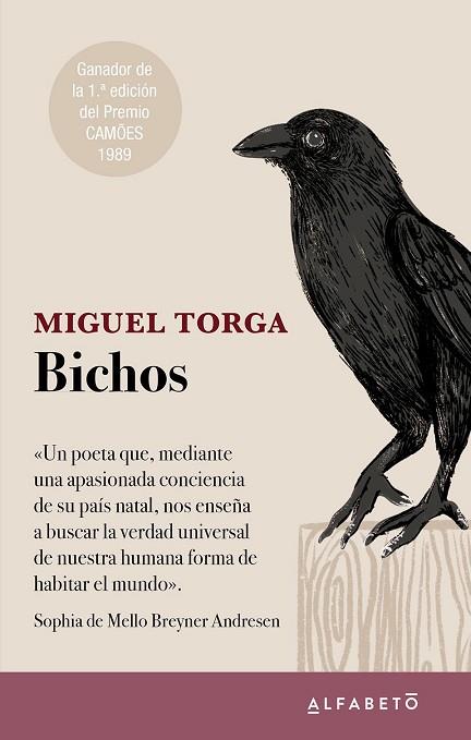 BICHOS | 9788417951467 | TORGA, MIGUEL | Llibreria Drac - Llibreria d'Olot | Comprar llibres en català i castellà online