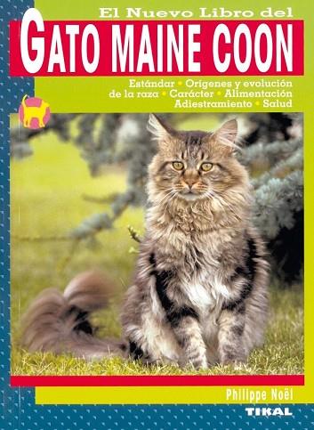 GATO MAINE COON | 9788430549924 | NOËL, PHILIPPE | Llibreria Drac - Librería de Olot | Comprar libros en catalán y castellano online