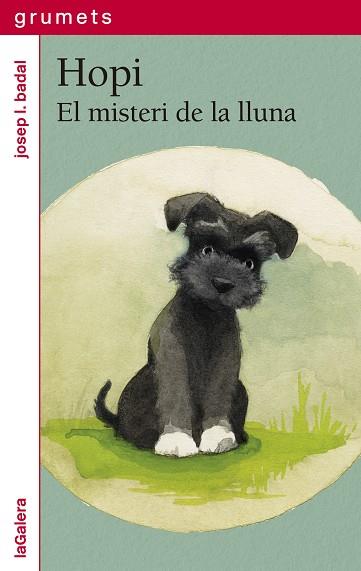 MISTERI DE LA LLUNA, EL (HOPI 1) | 9788424675271 | BADAL, JOSEP LL | Llibreria Drac - Llibreria d'Olot | Comprar llibres en català i castellà online