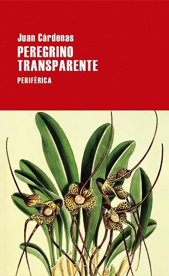 PEREGRINO TRANSPARENTE | 9788418838620 | CÁRDENAS, JUAN | Llibreria Drac - Llibreria d'Olot | Comprar llibres en català i castellà online