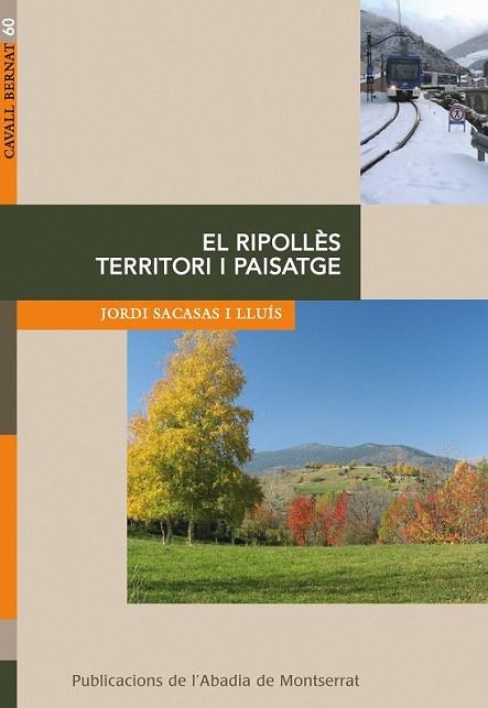 RIPOLLES TERRITORI I PAISATGE, EL | 9788498831160 | SACASAS, JORDI | Llibreria Drac - Librería de Olot | Comprar libros en catalán y castellano online