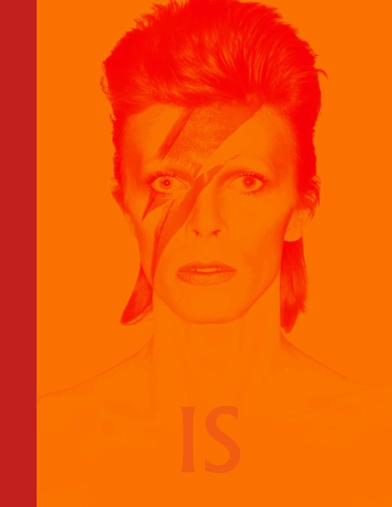 DAVID BOWIE IS INSIDE | 9788416665624 | BROACKES, VICTORIA / MARSH, GEOFFREY | Llibreria Drac - Llibreria d'Olot | Comprar llibres en català i castellà online