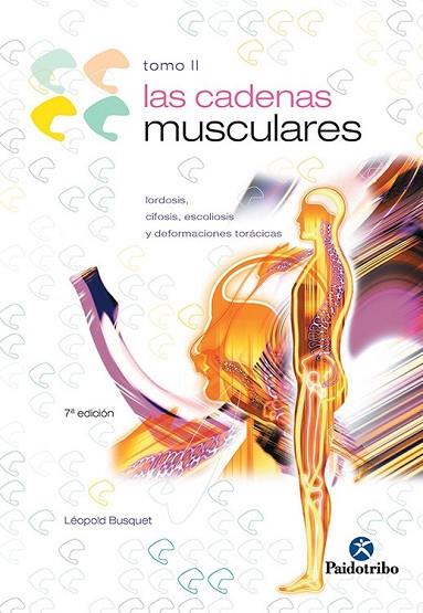 CADENAS MUSCULARES II, LAS | 9788480191715 | BUSQUET, LEOPOLD | Llibreria Drac - Librería de Olot | Comprar libros en catalán y castellano online