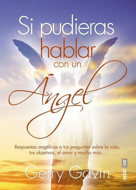 SI PUDIERAS HABLAR CON UN ÁNGEL | 9788441436510 | GAVIN, GERRY | Llibreria Drac - Librería de Olot | Comprar libros en catalán y castellano online