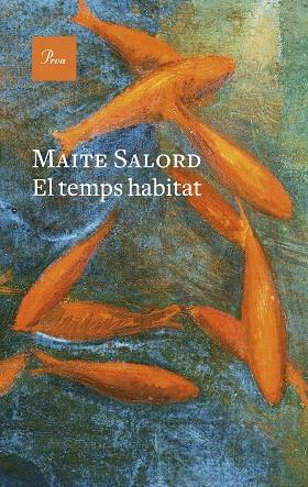 TEMPS HABITAT, EL | 9788419657824 | SALORD, MAITE | Llibreria Drac - Llibreria d'Olot | Comprar llibres en català i castellà online