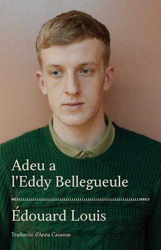 ADEU A L'EDDY BELLEGUEULE | 9788417353544 | LOUIS, EDOUARD | Llibreria Drac - Llibreria d'Olot | Comprar llibres en català i castellà online