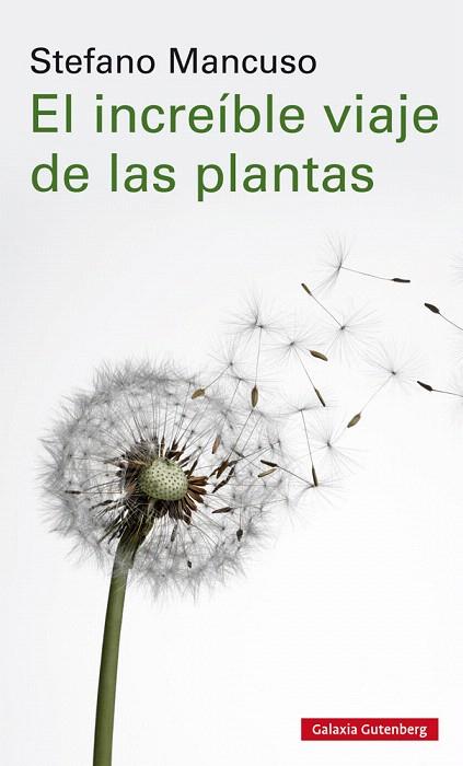 INCREIBLE VIAJE DE LAS PLANTAS, EL | 9788417747312 | MANCUSO, STEFANO | Llibreria Drac - Librería de Olot | Comprar libros en catalán y castellano online