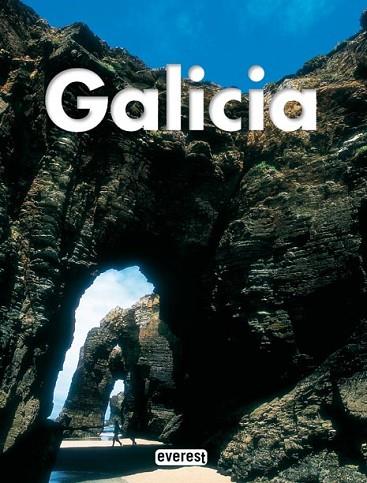 GALICIA | 9788424102739 | Llibreria Drac - Librería de Olot | Comprar libros en catalán y castellano online