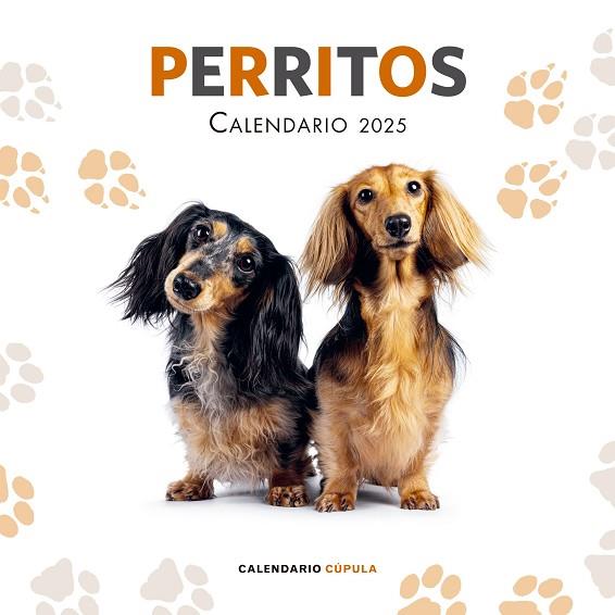 CALENDARIO PERRITOS 2025 | 9788448041649 | AA.DD. | Llibreria Drac - Llibreria d'Olot | Comprar llibres en català i castellà online