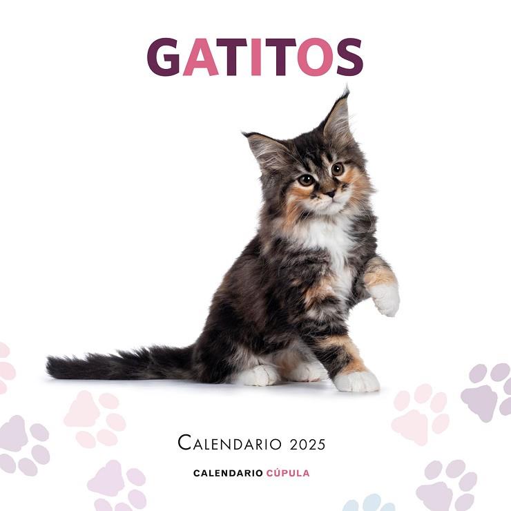 CALENDARIO GATITOS 2025 | 9788448041656 | AA.DD. | Llibreria Drac - Llibreria d'Olot | Comprar llibres en català i castellà online