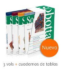 SOBOTTA.ATLAS DE ANATOMÍA HUMANA. 3 VOLS.24ª ED. ESTUCHE +TABLAS DE MÚSCULOS | 9788491133933 | PAULSEN,F./ WASCHKE, J. | Llibreria Drac - Llibreria d'Olot | Comprar llibres en català i castellà online