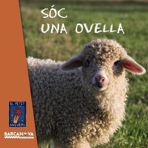 SOC UNA OVELLA (EL PETIT UNIVERS) | 9788448928711 | EQUIP BARCANOVA | Llibreria Drac - Llibreria d'Olot | Comprar llibres en català i castellà online