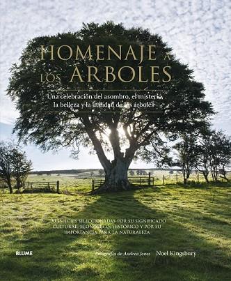 HOMENAJE A LOS ÁRBOLES | 9788416138562 | KINGSBURY, NOEL ; JONES, ANDREA | Llibreria Drac - Llibreria d'Olot | Comprar llibres en català i castellà online